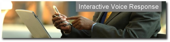 Interactive Voice Response (IVR)